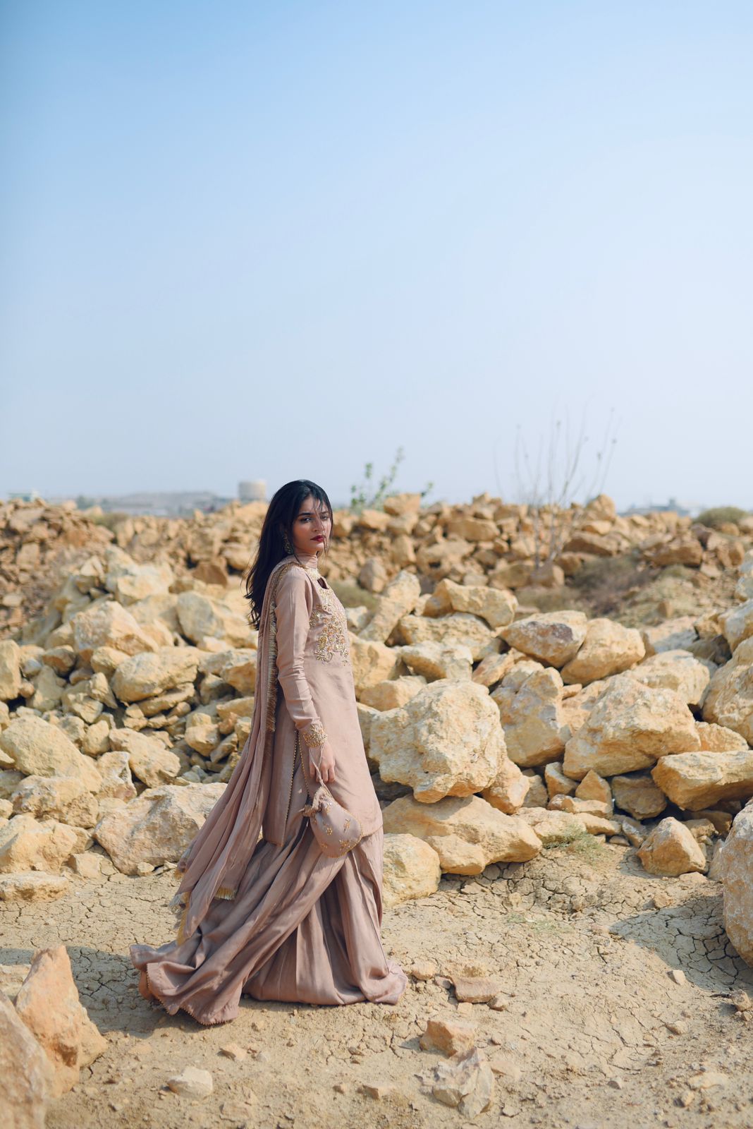 FAWN COTTON SILK DRESS