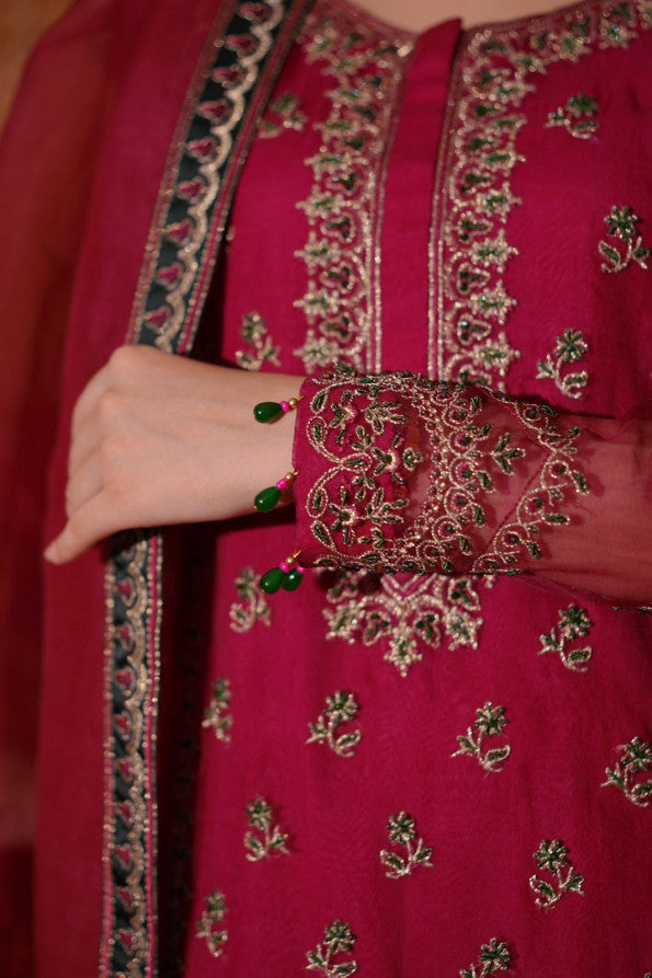 Ashnah Collection’25 ( Hot pink dress )