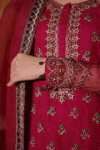Ashnah Collection’25 ( Hot pink dress )