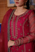 Ashnah Collection’25 ( Hot pink dress )
