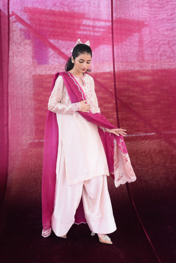 FESTIVE PRET 25 (BABY PINK FARSHI )