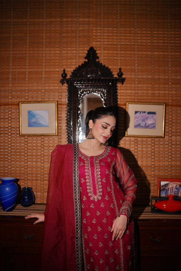 Ashnah Collection’25 ( Hot pink dress )