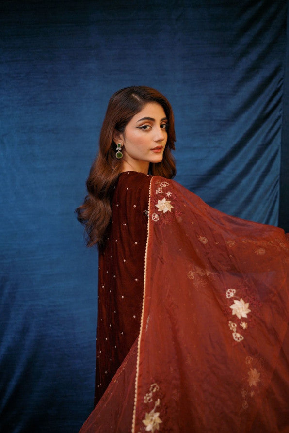SAFFRON COLLECTION '24 ( VELVET COAT DRESS )