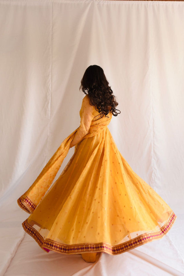 SUNFLOWER ( PISHWAS )