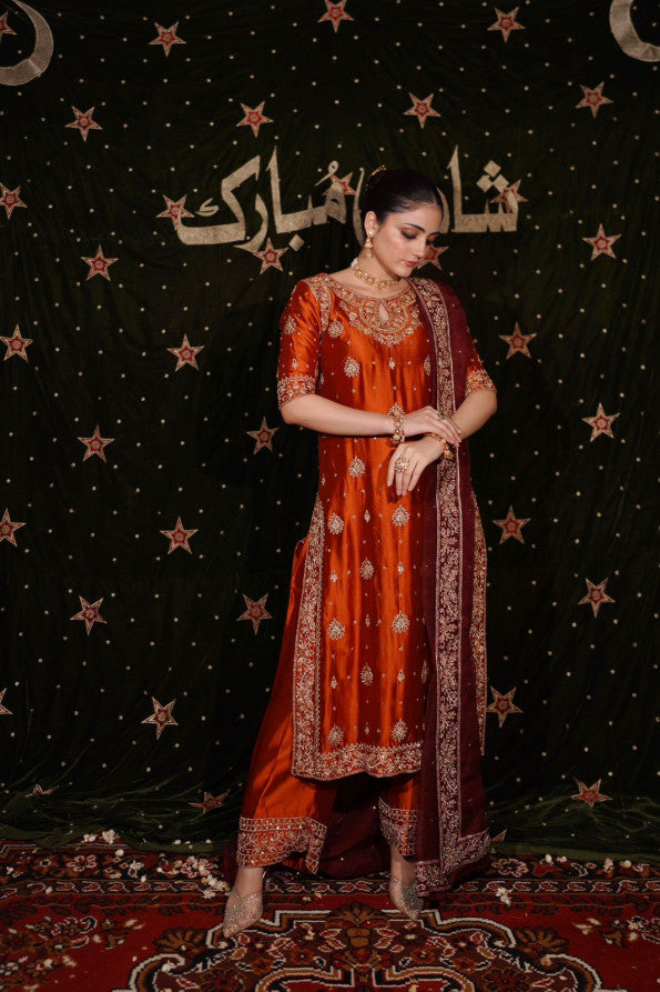 PHOOL COLLECTION ‘25 ( RUST LONG SHIRT DRESS)