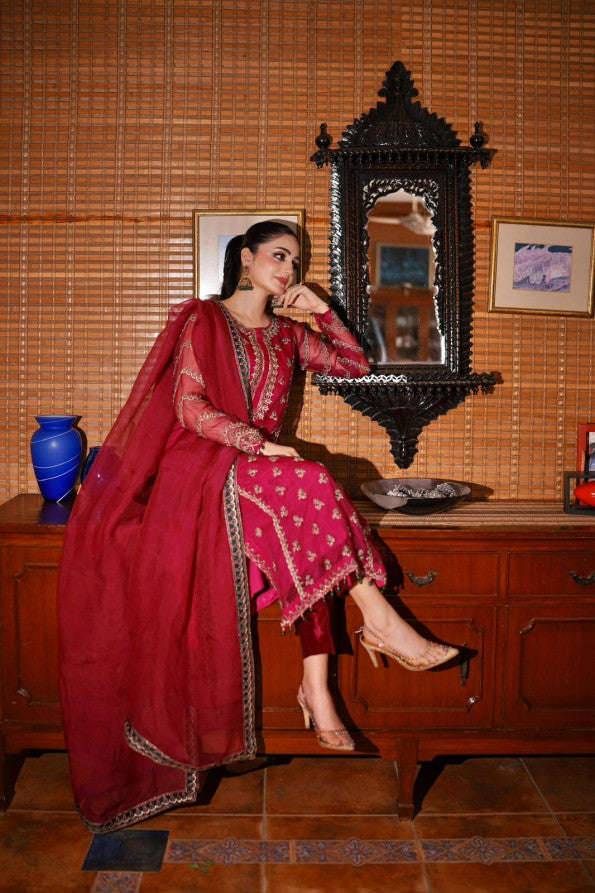 Ashnah Collection’25 ( Hot pink dress )