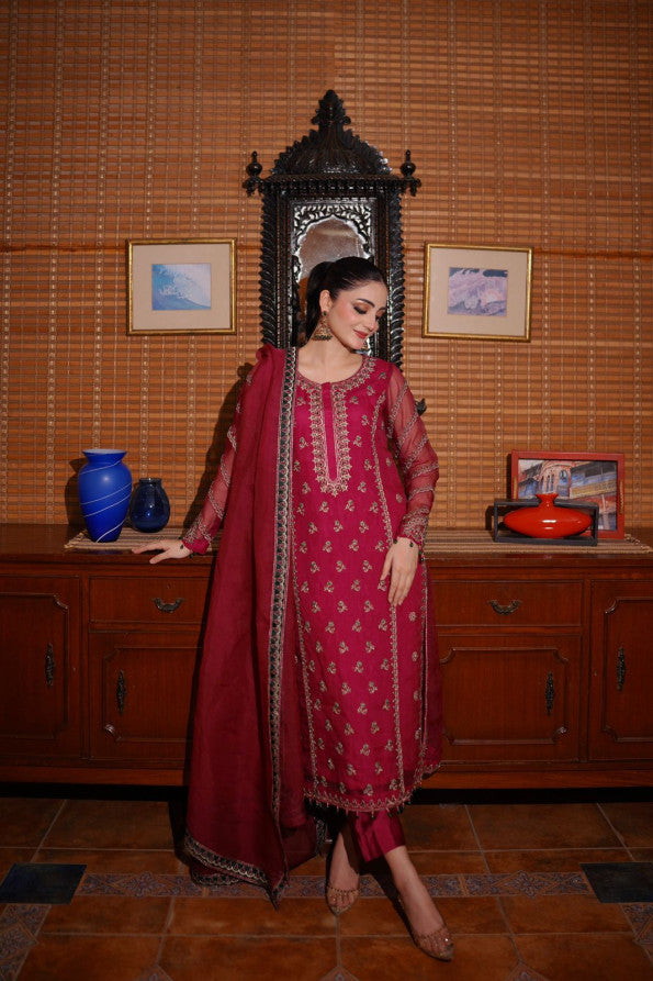 Ashnah Collection’25 ( Hot pink dress )