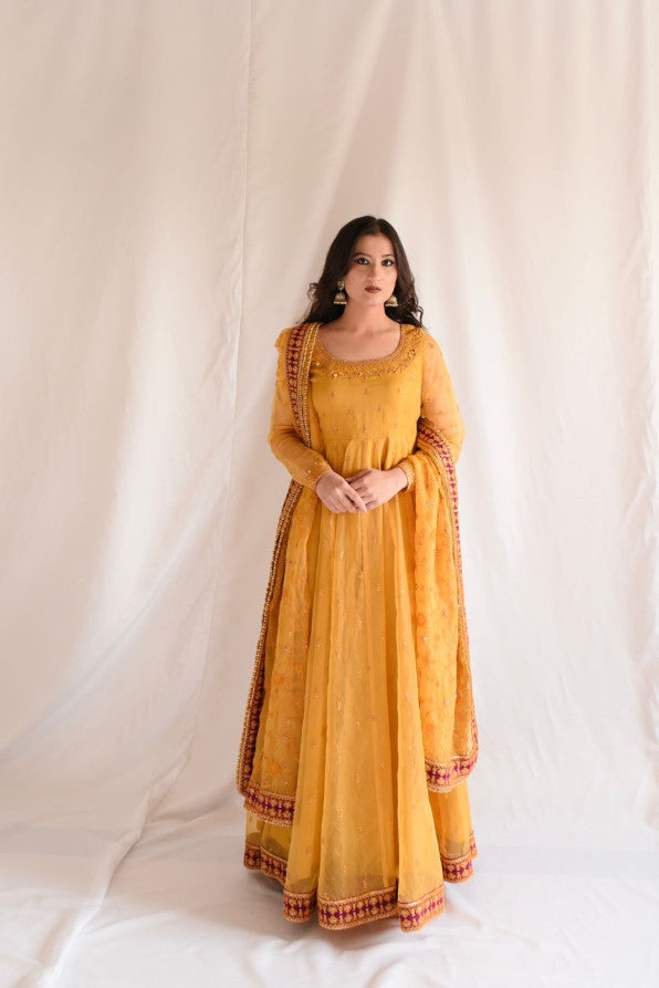 SUNFLOWER ( PISHWAS )
