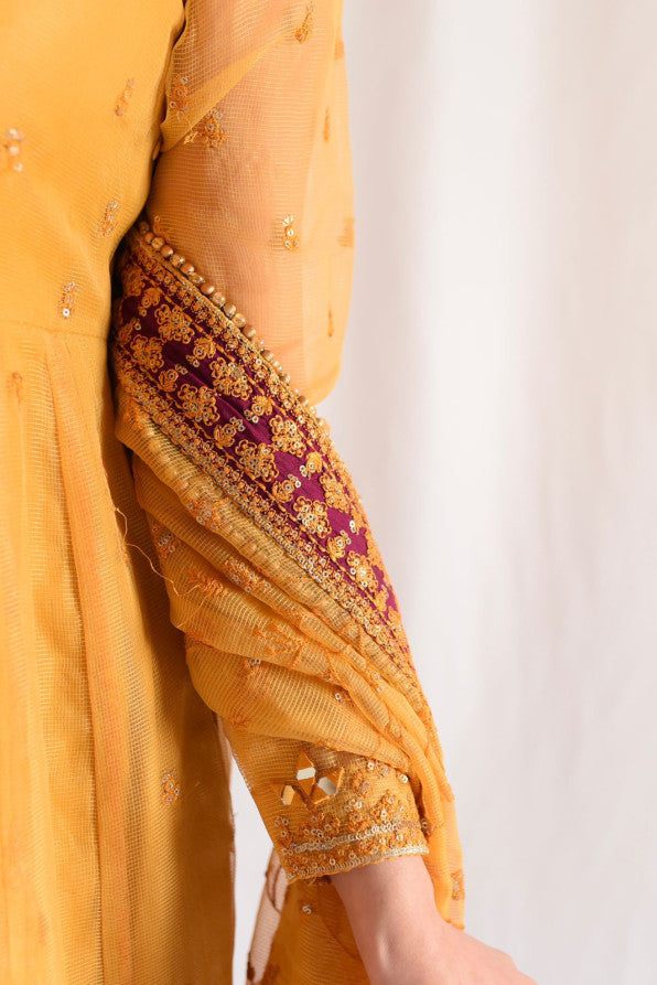 SUNFLOWER ( PISHWAS )