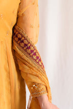SUNFLOWER ( PISHWAS )