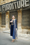 BLUE VELVET DRESS