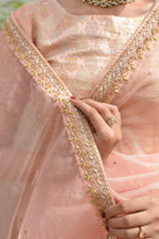 LIGHT PINK BORDER SAREE