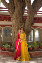 YELLOW LEHANGE CHOLI ( Mendhi dress)