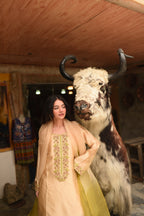 FAWN 2 TONE DUPATTA DRESS