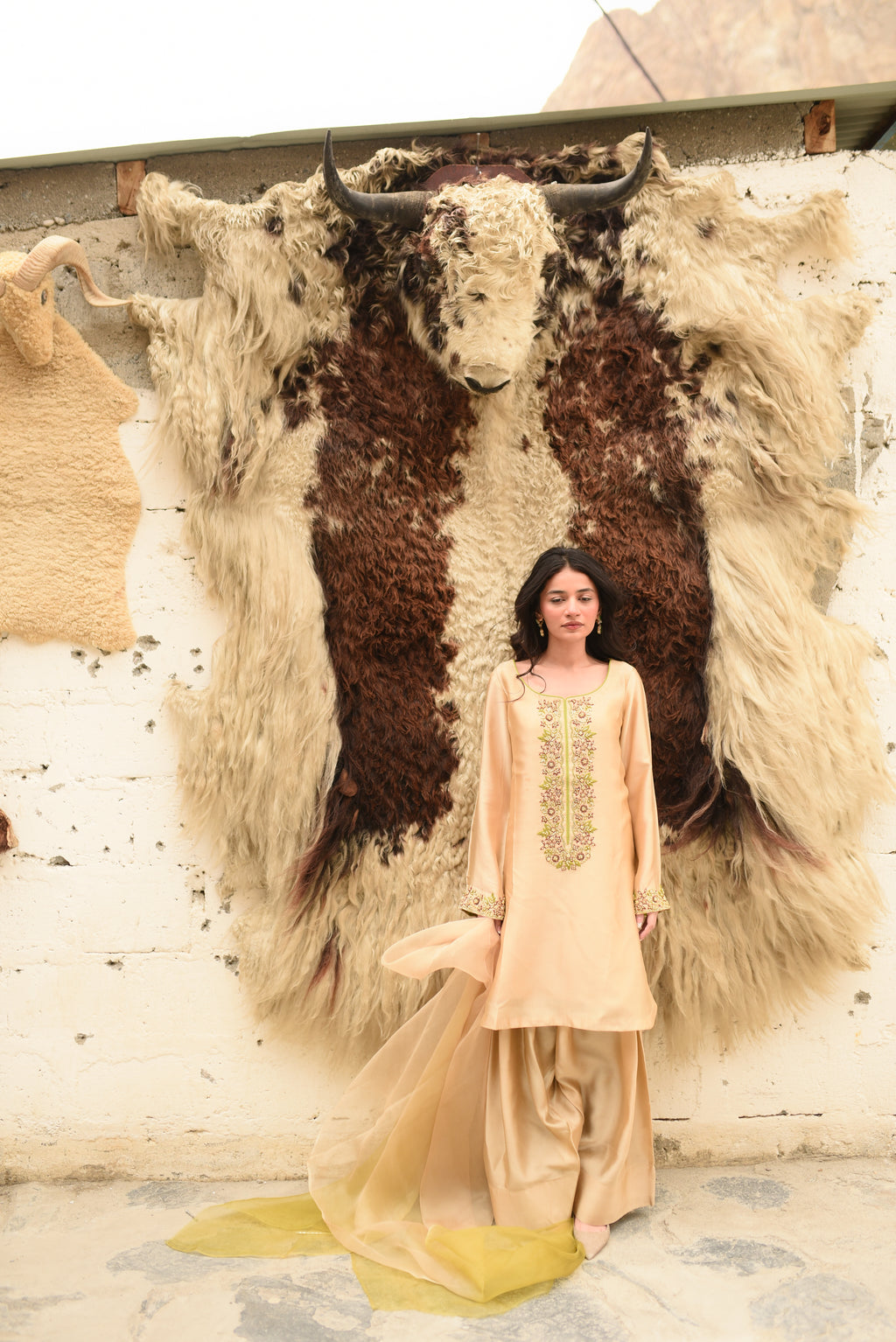 FAWN 2 TONE DUPATTA DRESS