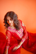EID COLLECTION' 23 ( BLOOD RED ORGANZA DRESS)