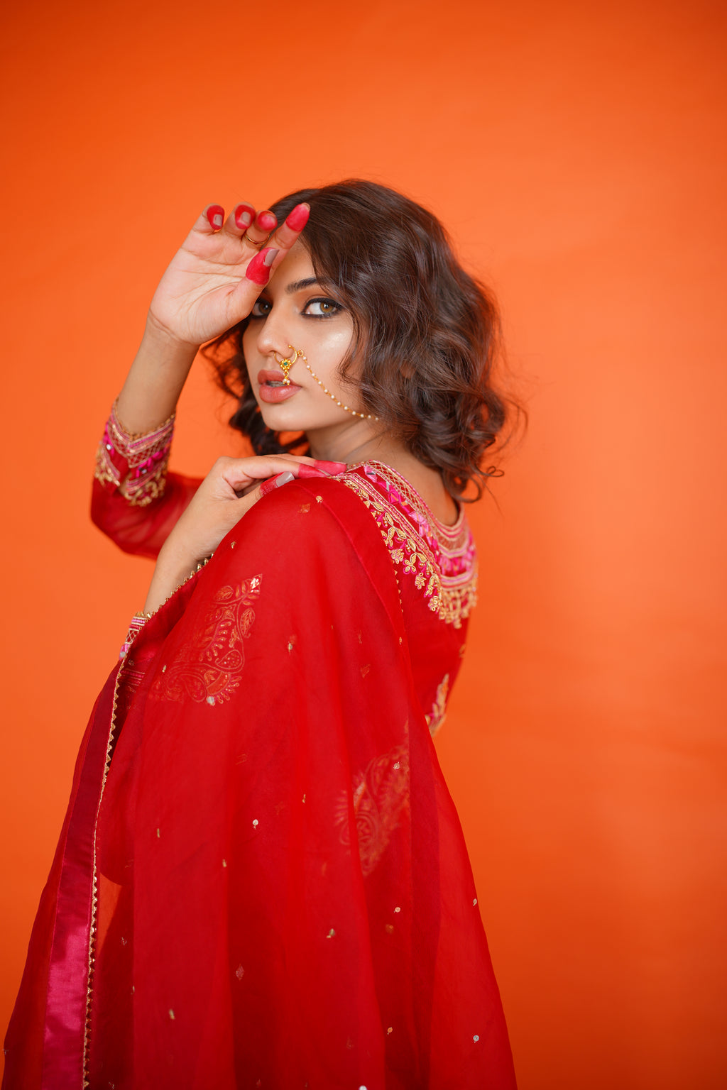 EID COLLECTION' 23 ( BLOOD RED ORGANZA DRESS)
