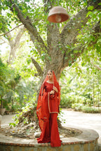 ROSHAN ( LAAL GARARA)