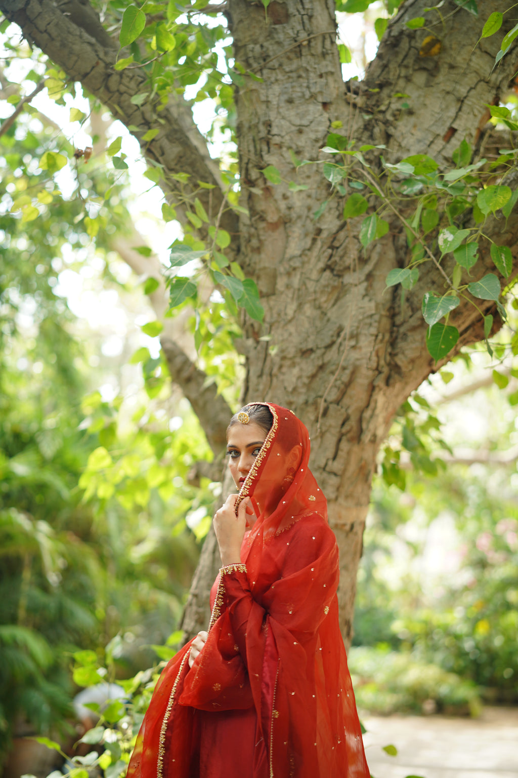 ROSHAN ( LAAL GARARA)