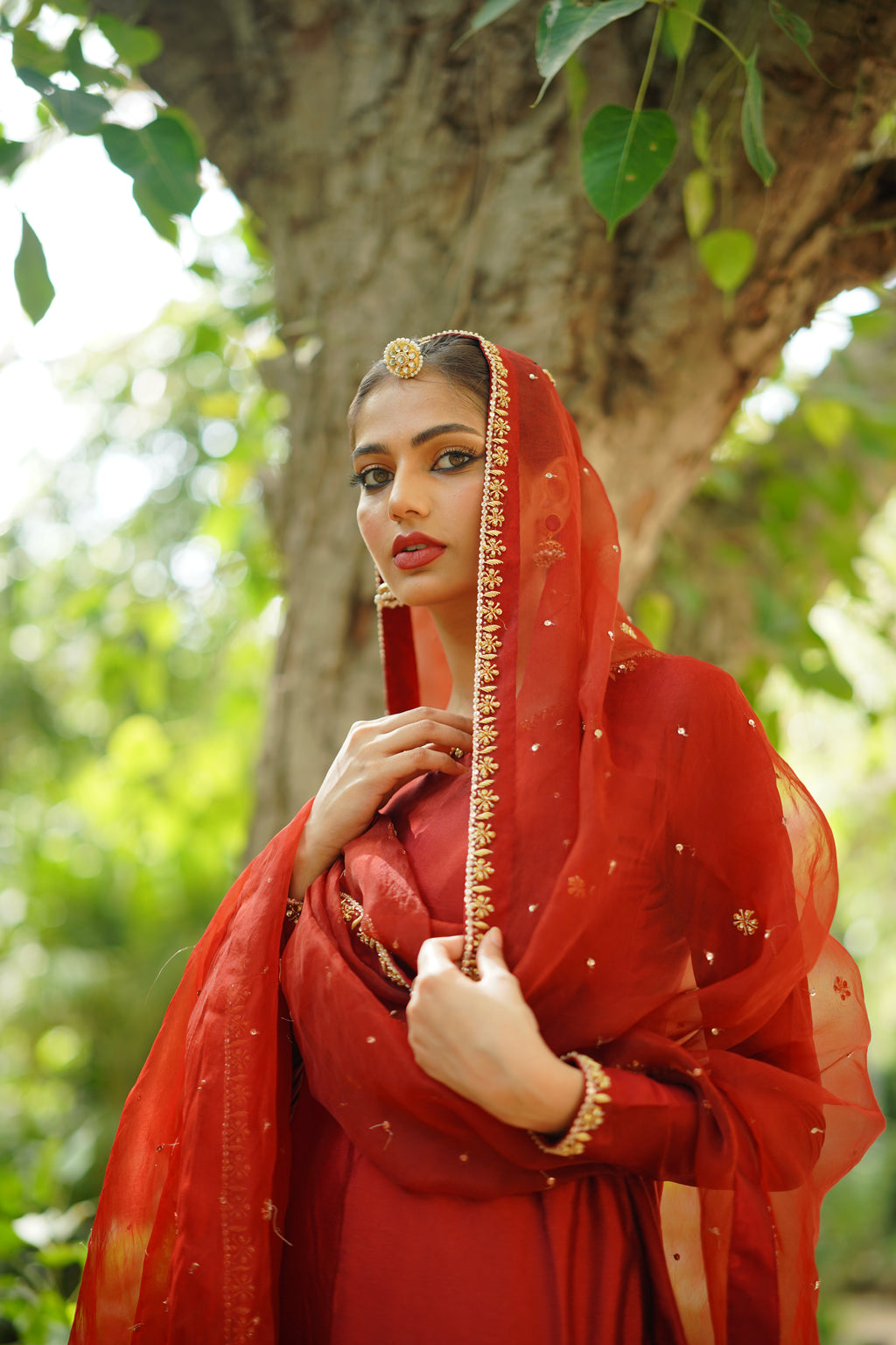 ROSHAN ( LAAL GARARA)