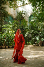 ROSHAN ( LAAL GARARA)